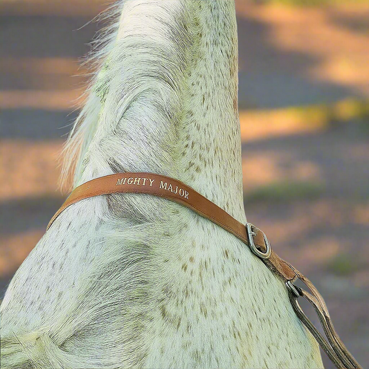 Leather Wither Strap