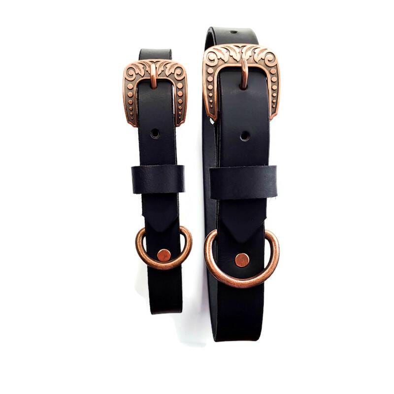 Black Leather Water Buffalo Dog Collar