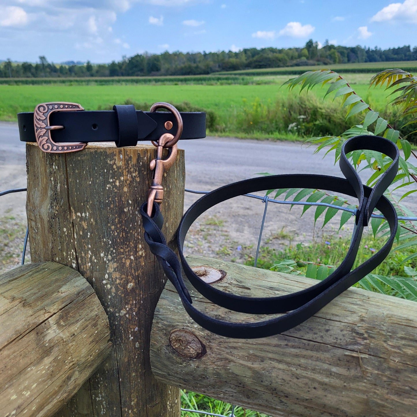 Black Leather Water Buffalo Dog Collar