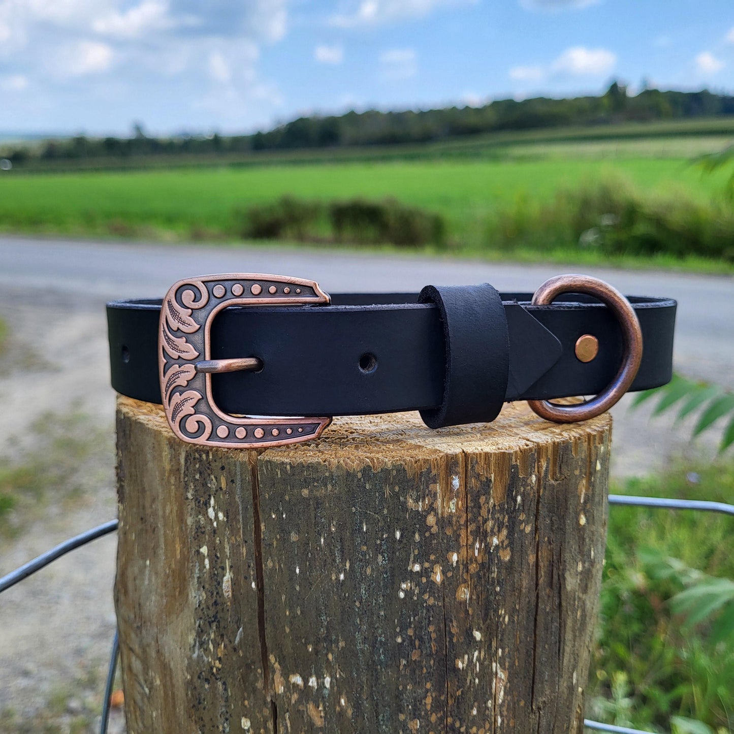Black Leather Water Buffalo Dog Collar