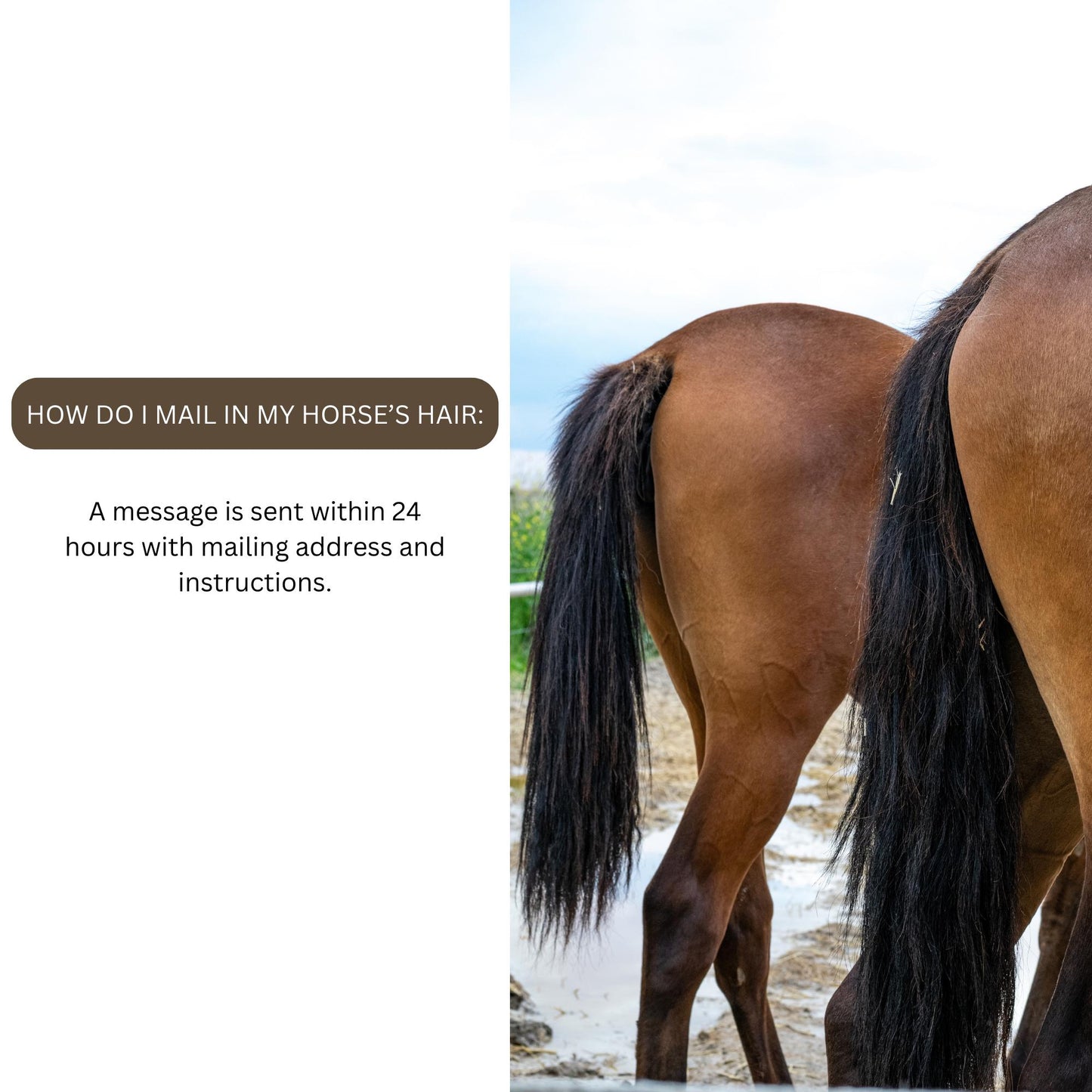 Horsehair Keychain - Brown Leather