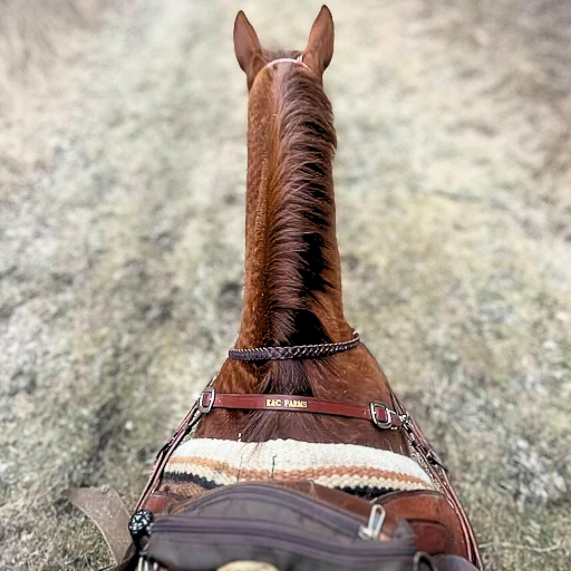 Leather Wither Strap