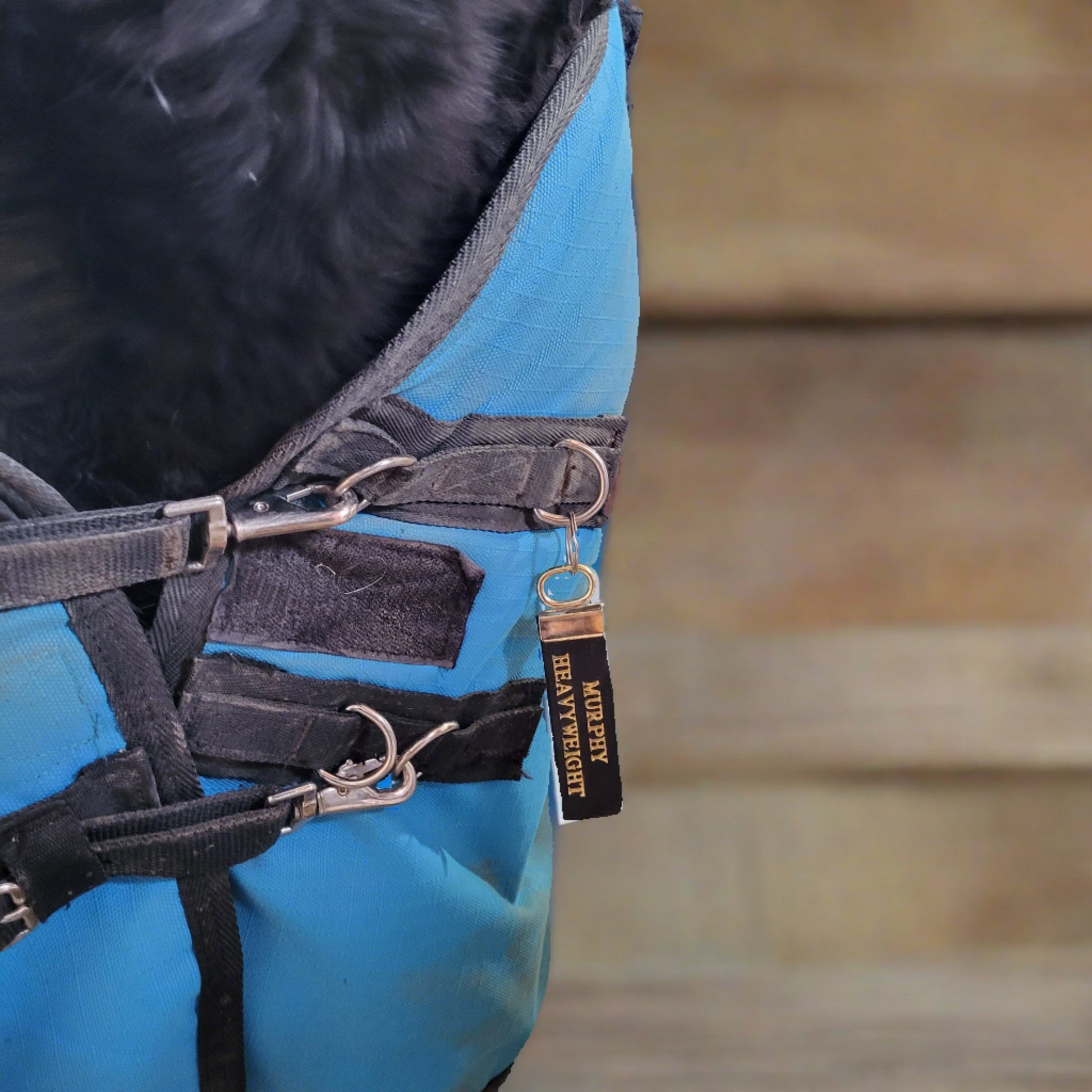 Leather Horse Blanket Tag - 2 Lines