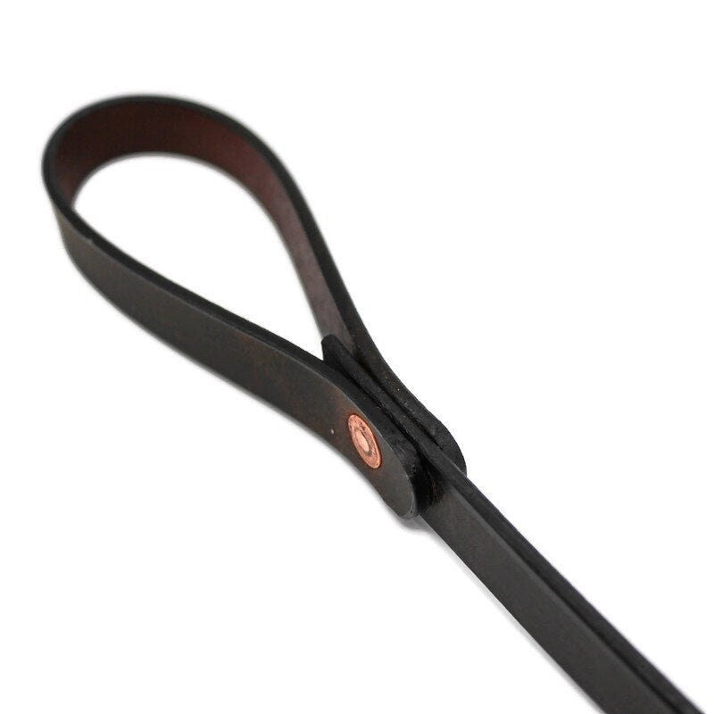 Brown Leather Dog Leash With Name Optional - Personalized Custom Crazy Horse Water Buffalo Leather, Copper Hardware, Leather Pet Leashes