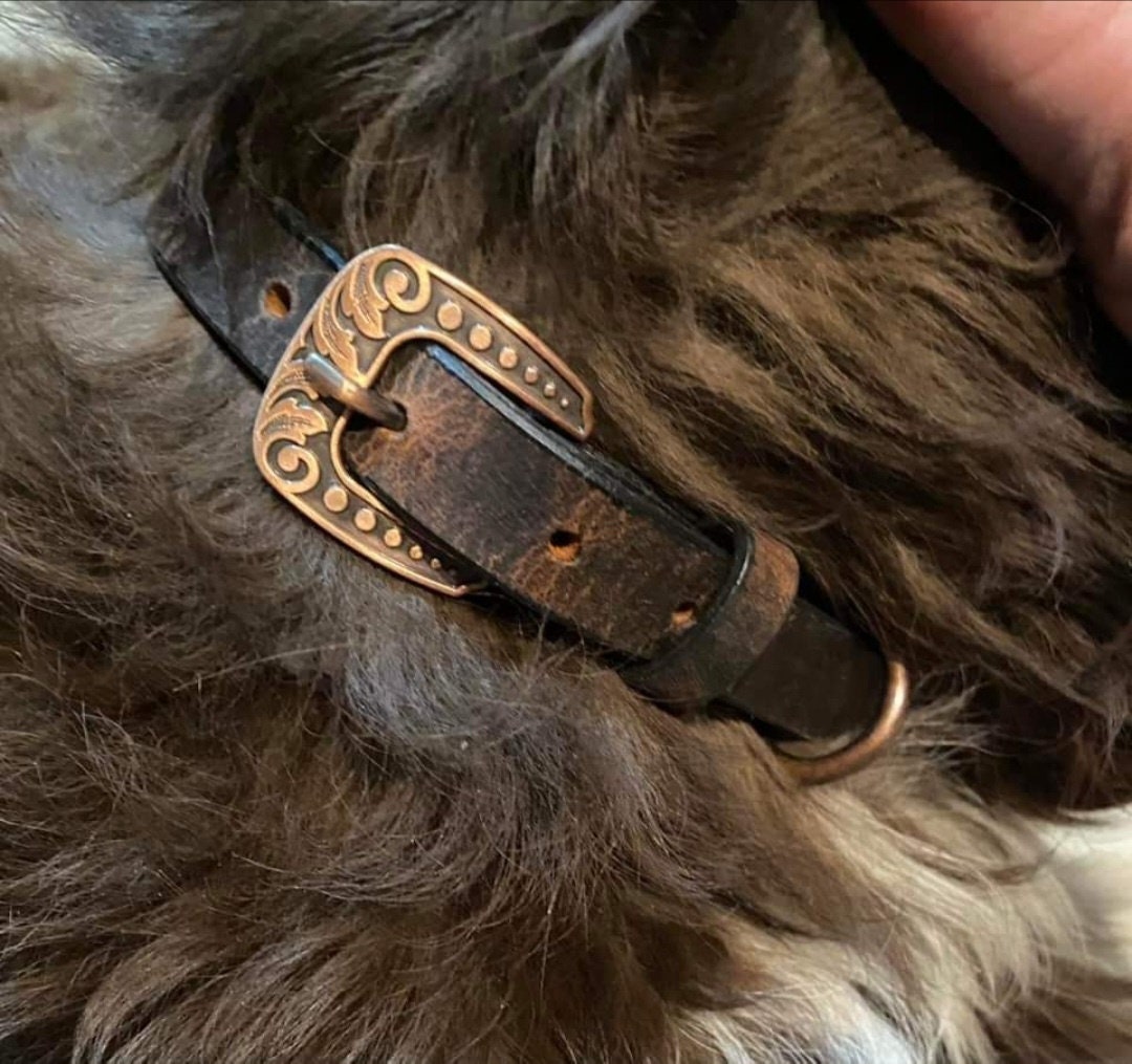 Water Buffalo Leather Dog Collar