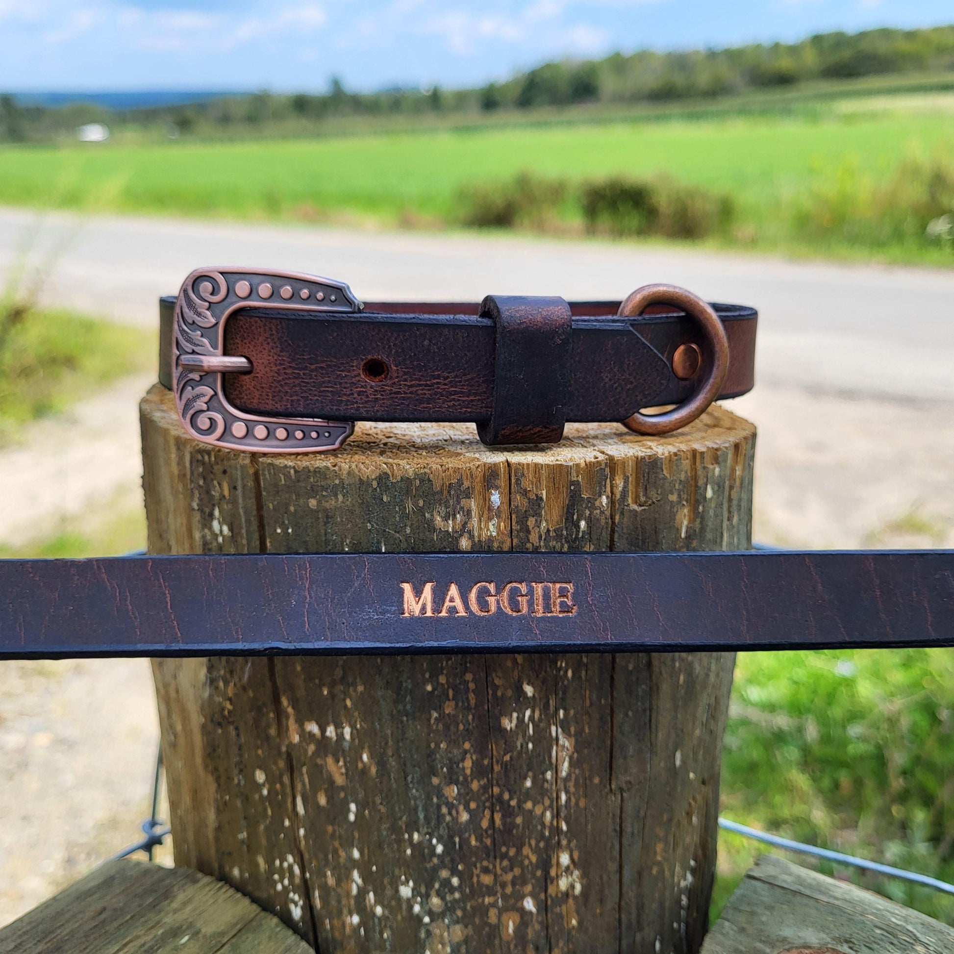 Water Buffalo Leather Dog Collar