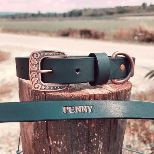 Black Leather Water Buffalo Dog Collar