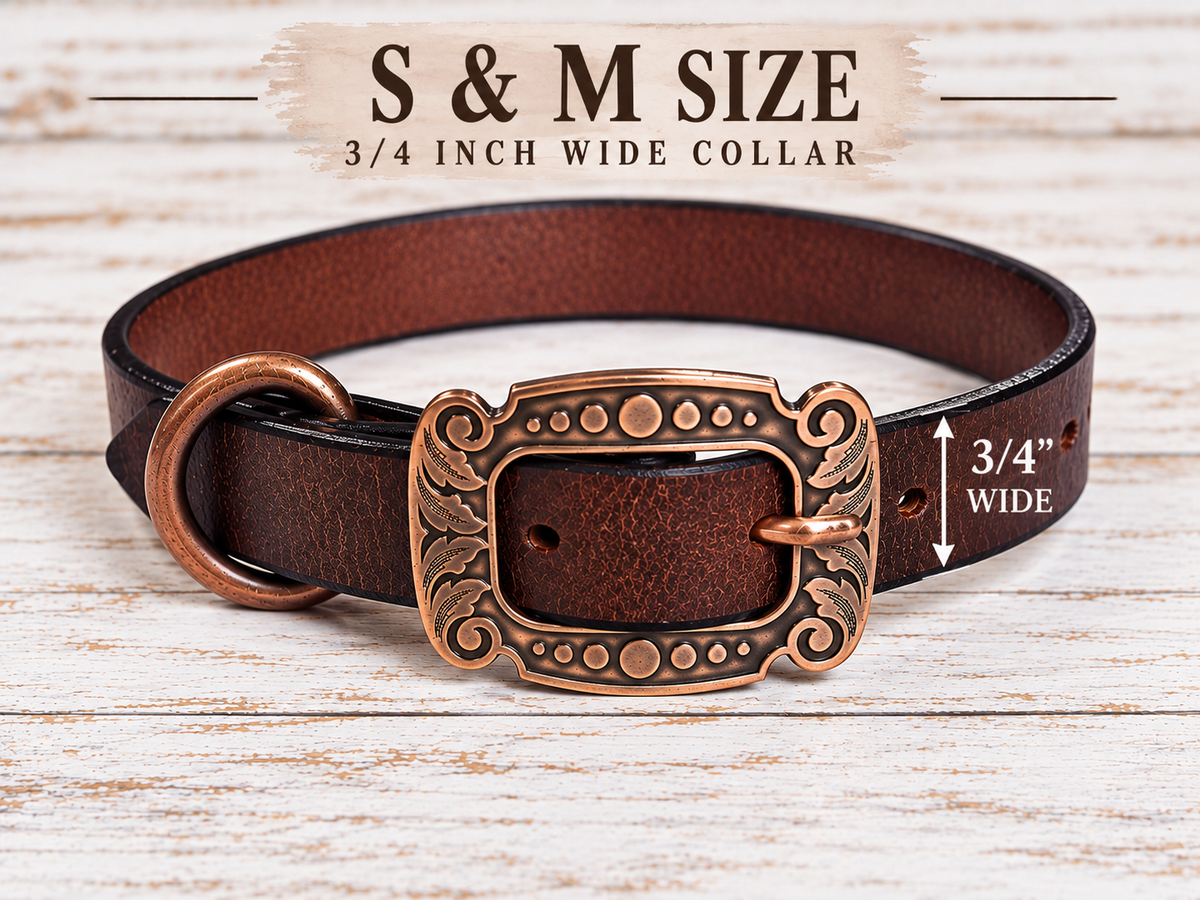 Crazy Horse Water Buffalo Leather Dog Collar