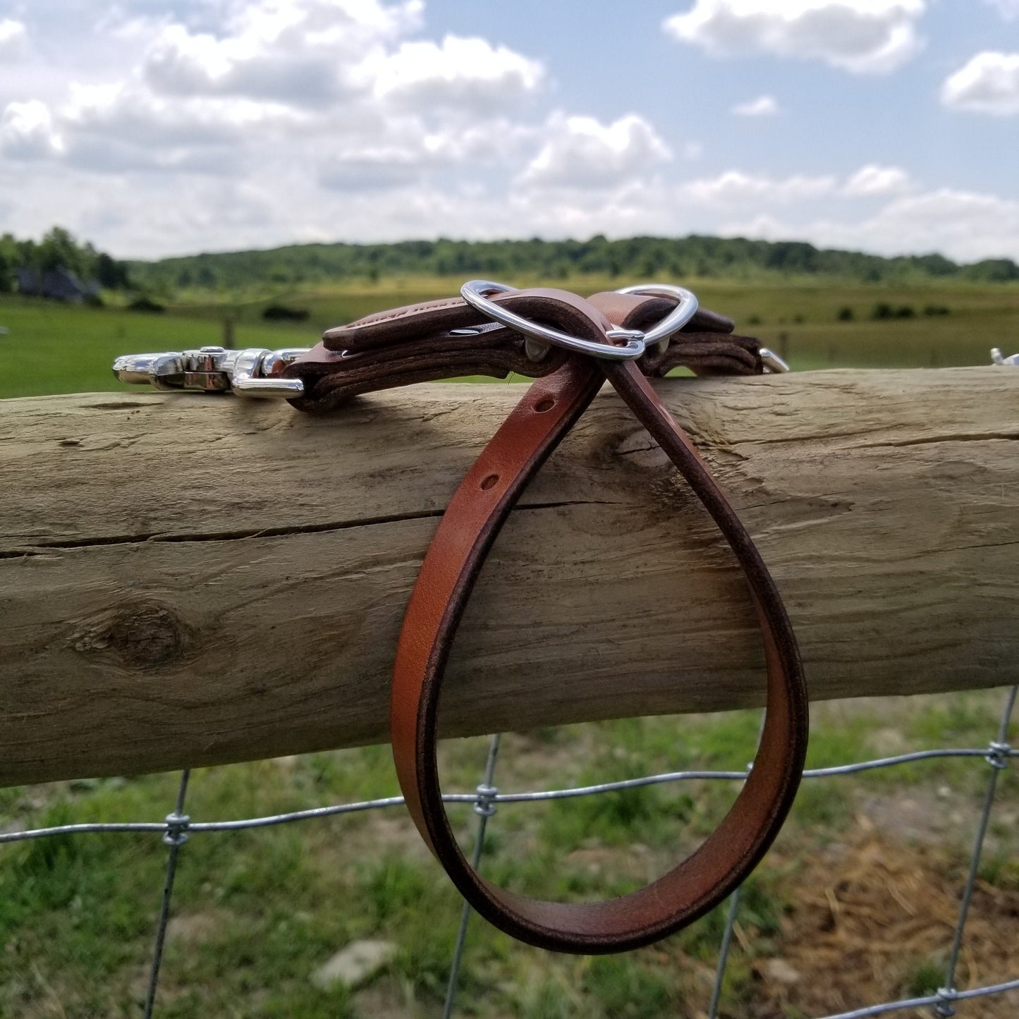 Brown leather wither strap with nickel hardware resting on a fence post. Two halter-style buckles and two scissor snaps on the ends.