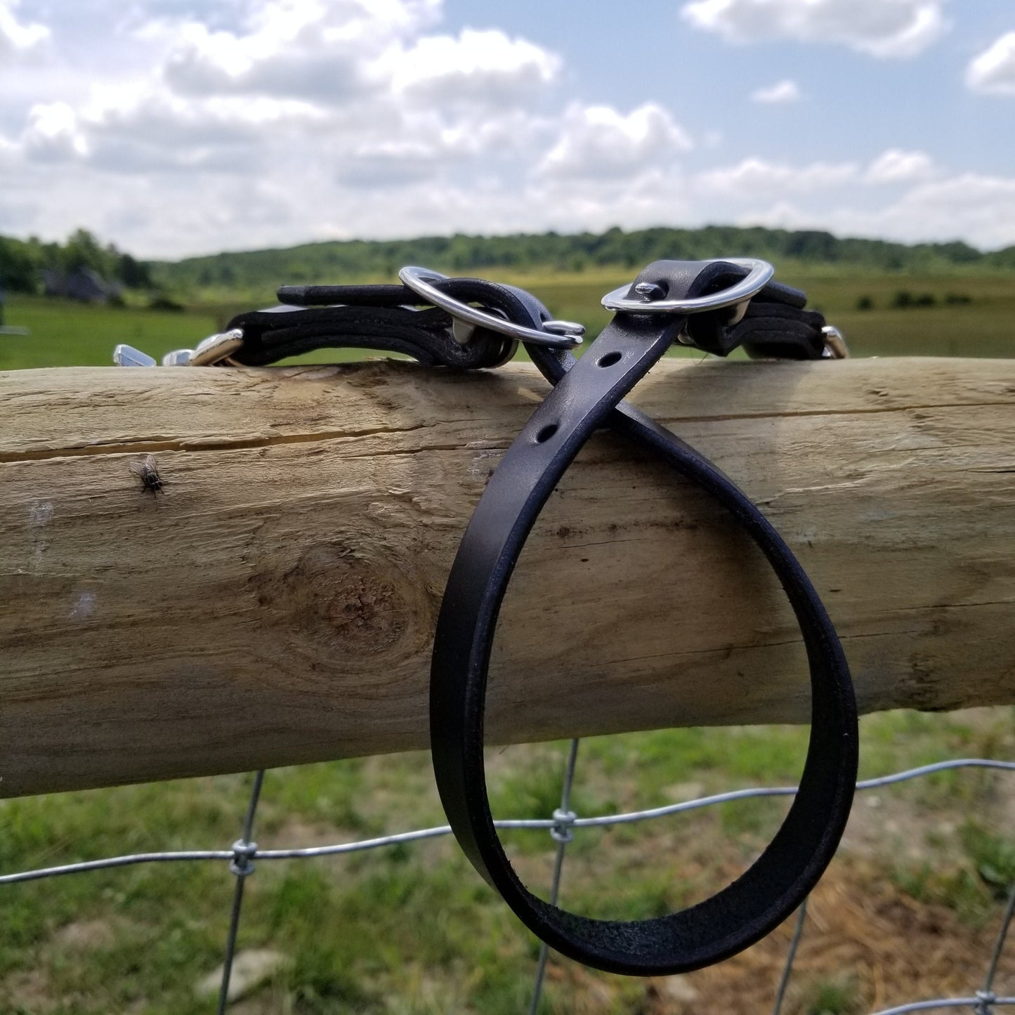 Black leather wither strap with nickel hardware resting on a fence post. Two halter-style buckles and two scissor snaps on the ends.