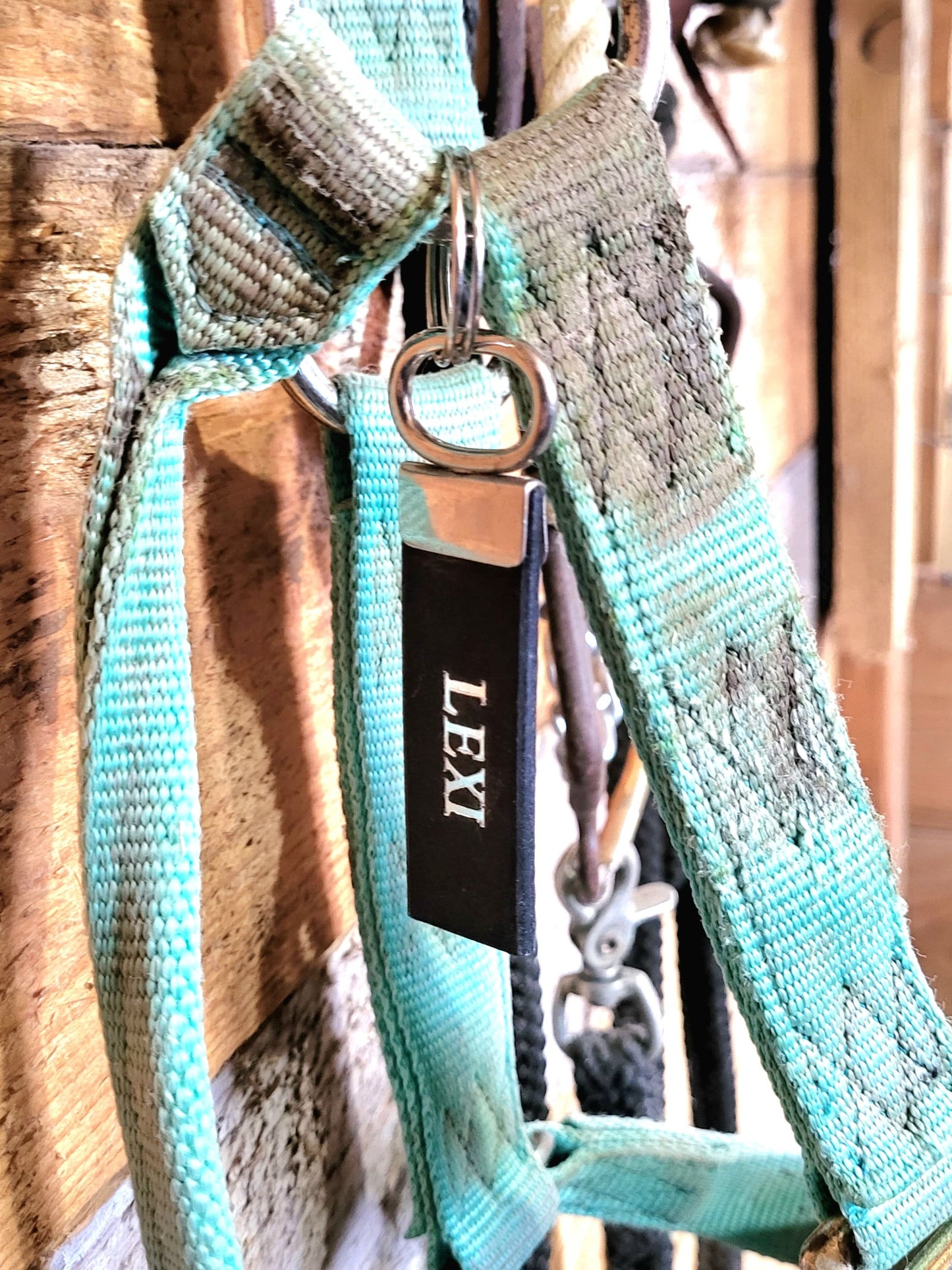 Leather Horse Blanket Tag - Single Line